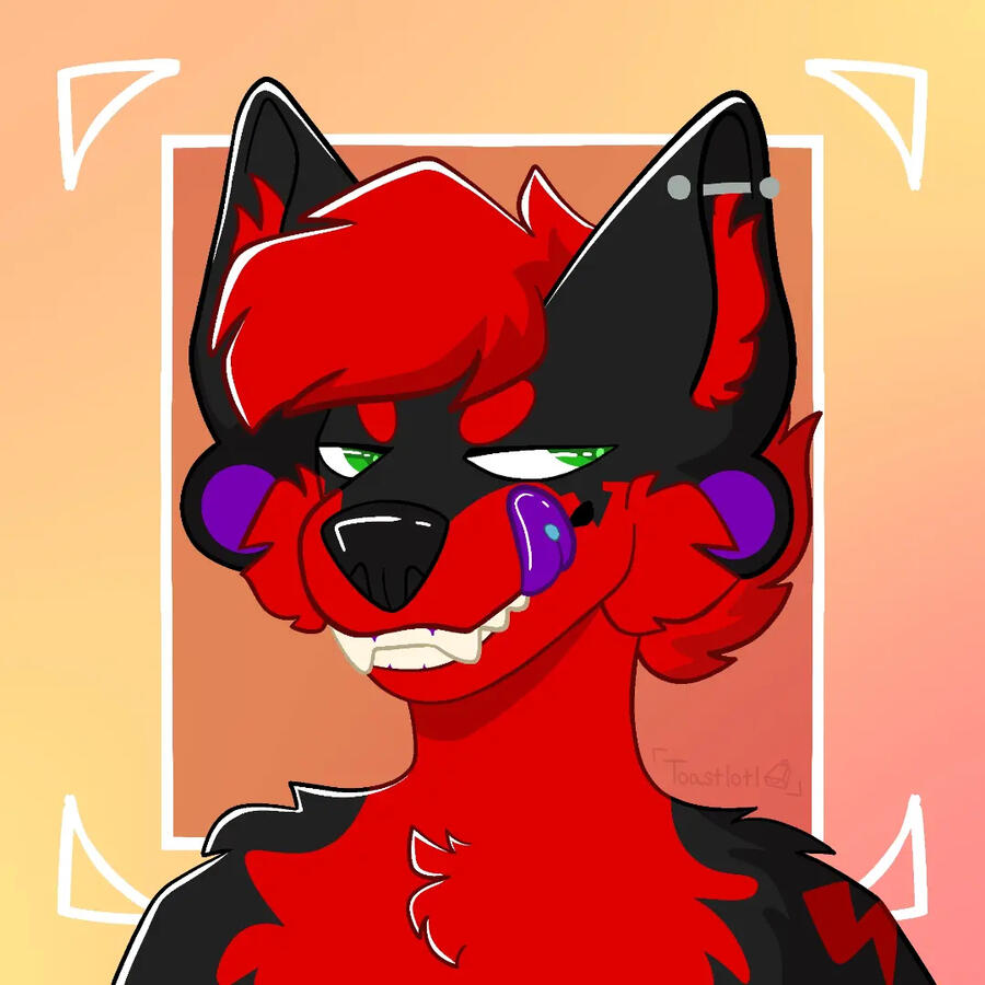 Headshot for Legoshi.Furreal on Instagram